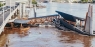 City cat terminal destroyed
