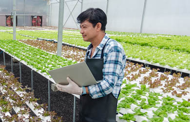 Man holding a laptop in a greenhouse