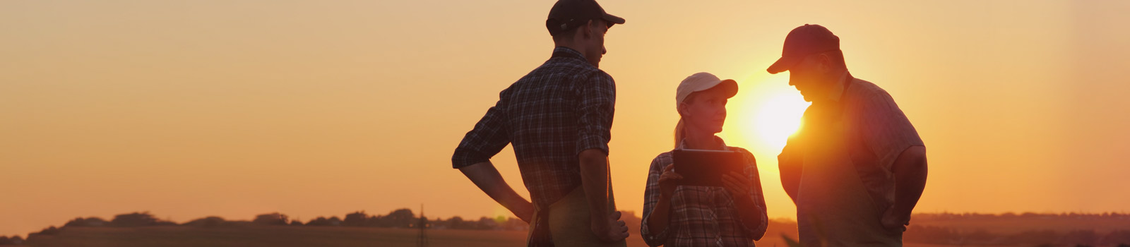 Three farmers standing in a field at sunset