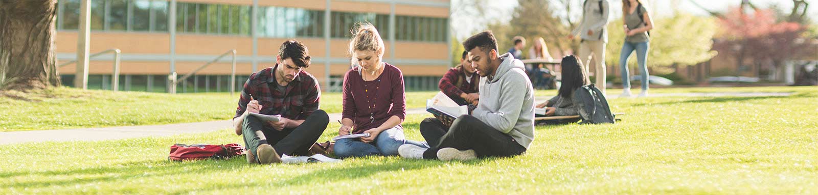 Group of university students studying in a park