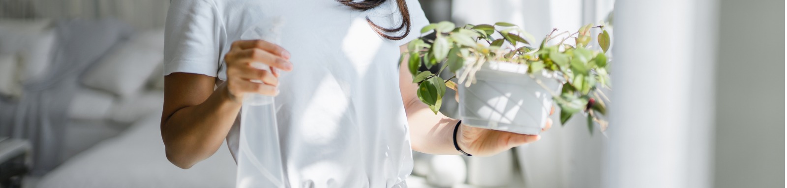 Smiling woman holding pot plant indoors