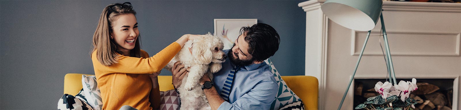 Couple playing with a dog on a yellow couch
