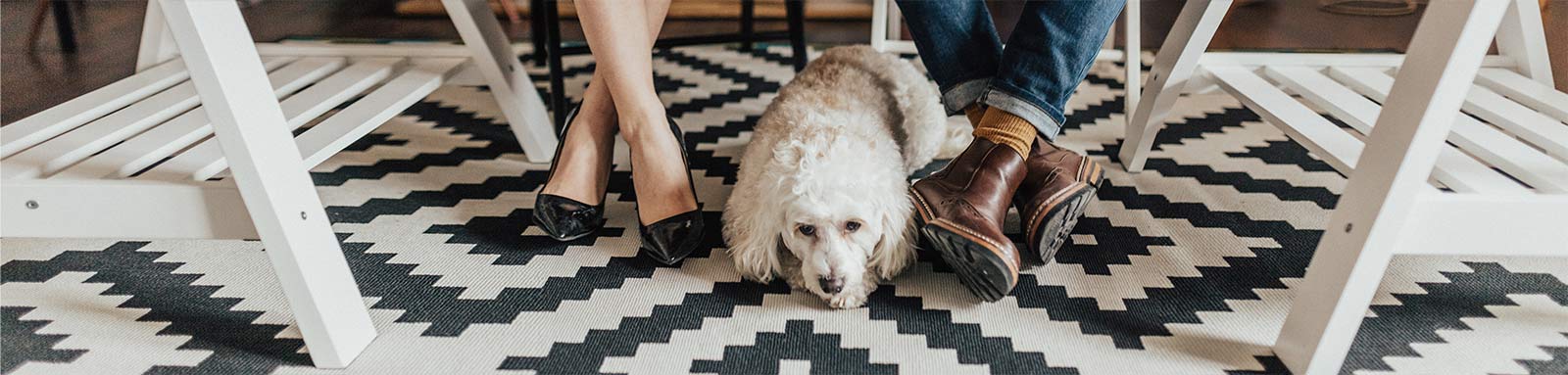 Couples legs under a table with the dog