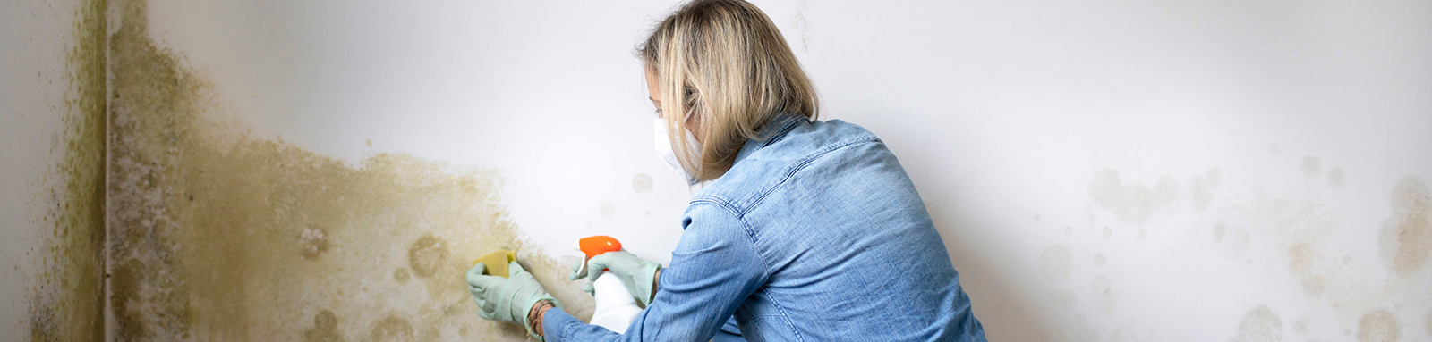 pretty blonde woman with mouth nose mask cleans dangerous mold from dirty apartment wall