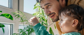 father and toddler curiously examine pot plants
