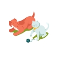 Pets