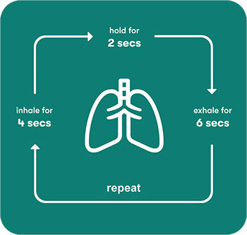 Inhale for 4 secs. Hold for 2 secs. Exhale for 6 secs. Repeat