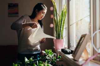 woman watering plants