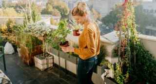 Woman holding plants on balcony